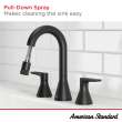 Aspirations 8-Inch Widespread 2-Handle Pull-Down Bathroom Faucet 1.2 gpm/4.5 L/min With Lever Handles, 7061821.002