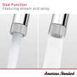 Aspirations 8-Inch Widespread 2-Handle Pull-Down Bathroom Faucet 1.2 gpm/4.5 L/min With Lever Handles, 7061821.243