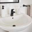 Colony(R) PRO Single Hole Single-Handle Bathroom Faucet 1.2 gpm/4.5 L/min With Lever Handle, 7075100.243