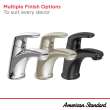 Colony(R) PRO Single Hole Single-Handle Bathroom Faucet 1.2 gpm/4.5 Lpm Less Drain With Lever Handle, 7075104.295