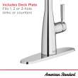 Colony(R) PRO Single-Handle Pull-Down Dual Spray Kitchen Faucet 1.5 gpm/5.7 L/min, 7077300.002