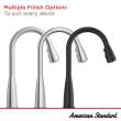 Colony(R) PRO Single-Handle Pull-Down Dual Spray Kitchen Faucet 1.5 gpm/5.7 L/min, 7077300.075