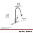 Colony(R) PRO Single-Handle Pull-Down Dual Spray Kitchen Faucet 1.5 gpm/5.7 L/min, 7077300.243