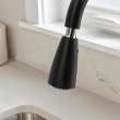 Colony(R) PRO Single-Handle Pull-Down Dual Spray Kitchen Faucet 1.5 gpm/5.7 L/min, 7077300.243