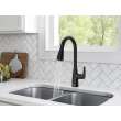 Colony(R) PRO Single-Handle Pull-Down Dual Spray Kitchen Faucet 1.5 gpm/5.7 L/min, 7077300.243