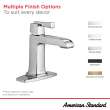 Townsend(R) Single Hole Single-Handle Bathroom Faucet 1.2 gpm/4.5 L/min With Lever Handle, 7353101.243
