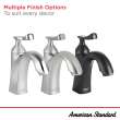 Chatfield(R) Single Hole Single-Handle Bathroom Faucet 1.2 gpm/4.5 L/min With Lever Handle, 7413101.002
