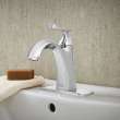 Chatfield(R) Single Hole Single-Handle Bathroom Faucet 1.2 gpm/4.5 L/min With Lever Handle, 7413101.002