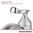 Chatfield(R) Single Hole Single-Handle Bathroom Faucet 1.2 gpm/4.5 L/min With Lever Handle, 7413101.295