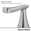 Chatfield(R) 4-Inch Centerset 2-Handle Bathroom Faucet 1.2 gpm/4.5 L/min With Lever Handles, 7413201.002