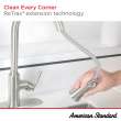 Raviv(R) Single-Handle Pull-Down Kitchen Faucet, 7421300.002
