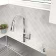 Raviv(R) Single-Handle Pull-Down Kitchen Faucet, 7421300.002
