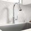 Raviv(R) Single-Handle Pull-Down Kitchen Faucet, 7421300.002