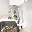 Raviv(R) Single-Handle Pull-Down Kitchen Faucet, 7421300.002