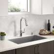 Raviv(R) Single-Handle Pull-Down Kitchen Faucet, 7421300.002
