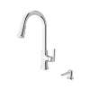 Raviv(R) Single-Handle Pull-Down Kitchen Faucet, 7421300.002