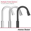 Raviv(R) Single-Handle Pull-Down Kitchen Faucet, 7421300.075