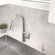 Raviv(R) Single-Handle Pull-Down Kitchen Faucet, 7421300.075