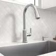 Raviv(R) Single-Handle Pull-Down Kitchen Faucet, 7421300.075