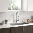 Raviv(R) Single-Handle Pull-Down Kitchen Faucet, 7421300.075
