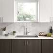 Raviv(R) Single-Handle Pull-Down Kitchen Faucet, 7421300.075