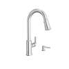 Raviv(R) Single-Handle Pull-Down Kitchen Faucet, 7421300.075
