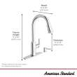 Raviv(R) Single-Handle Pull-Down Kitchen Faucet, 7421300.243