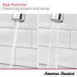 Raviv(R) Single-Handle Pull-Down Kitchen Faucet, 7421300.243