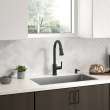 Raviv(R) Single-Handle Pull-Down Kitchen Faucet, 7421300.243