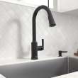 Raviv(R) Single-Handle Pull-Down Kitchen Faucet, 7421300.243