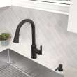 Raviv(R) Single-Handle Pull-Down Kitchen Faucet, 7421300.243