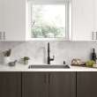 Raviv(R) Single-Handle Pull-Down Kitchen Faucet, 7421300.243