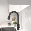 Raviv(R) Single-Handle Pull-Down Kitchen Faucet, 7421300.243