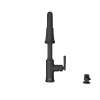 Raviv(R) Single-Handle Pull-Down Kitchen Faucet, 7421300.243