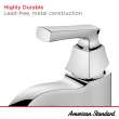 Belmeade Single-Handle Bathroom Faucet, 7426101.243