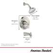 Braymer 2.5 gpm/ 9.5 L/min Tub and Shower Trim Kit with Valve and Lever Handle, 7427502.243