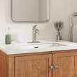 Becklow Single-Handle Bathroom Faucet, 7429101.295