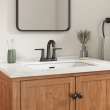 Becklow Two-Handle 4-Inch Centerset Bathroom Faucet, 7429201.243
