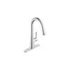 Southport Pull-Down Dual Spray Kitchen Faucet 1.8 GPM/6.8 L/min, 7441300.002