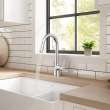 Calusa Pull-Down Dual Spray Kitchen Faucet 1.8 GPM, 7442300.002