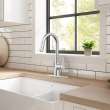 Calusa Pull-Down Dual Spray Kitchen Faucet 1.8 GPM, 7442300.002