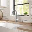 Calusa Pull-Down Dual Spray Kitchen Faucet 1.8 GPM, 7442300.075