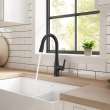 Calusa Pull-Down Dual Spray Kitchen Faucet 1.8 GPM, 7442300.243