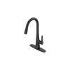 Calusa Pull-Down Dual Spray Kitchen Faucet 1.8 GPM, 7442300.243