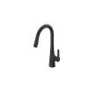 Calusa Pull-Down Dual Spray Kitchen Faucet 1.8 GPM, 7442300.243