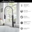 Grayson Semi-Professional Single-Handle Kitchen Faucet, 7612350.243