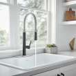 Grayson Semi-Professional Single-Handle Kitchen Faucet, 7612350.243