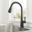 Hillsdale Single-Handle Pull-Down Dual Spray Kitchen Faucet, 7617300.243