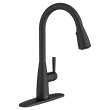 Hillsdale Single-Handle Pull-Down Dual Spray Kitchen Faucet, 7617300.243