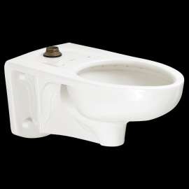 Commercial Elongated Toilet with Everclean and Rim Slotted for Bedpan in White